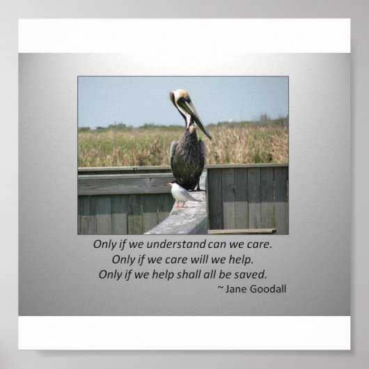 Gekümmert Poster (Vorne)