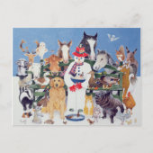 Gekümmert Postkarte (Vorderseite)