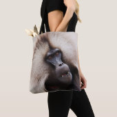 Gelada Baboon, Äthiopien Tasche (Von Nahem)