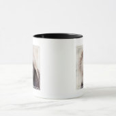 Gelada Baboon, Äthiopien Tasse (Zentrum)