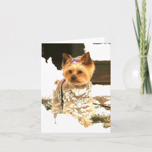 Gelassen ihm schneien Anmerkungs-Karte Feiertagskarte (Vorderseite)