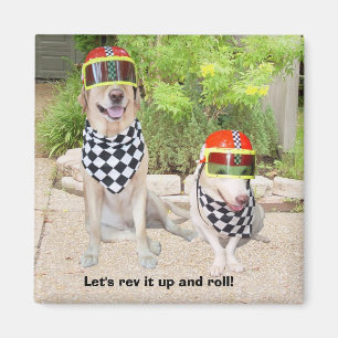 Gelassen uns rev es oben und rollen! magnet