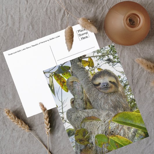 Gelassene Baumartige Anmut Postkarte