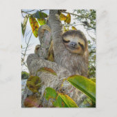 Gelassene Baumartige Anmut Postkarte (Vorderseite)