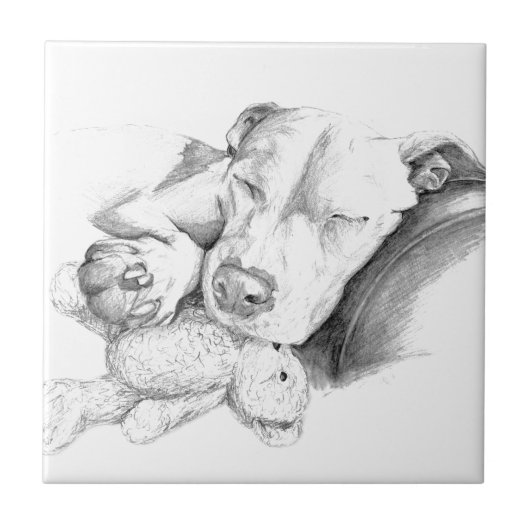 Gelassene Schlafenhundelüge Fliese (Vorderseite)