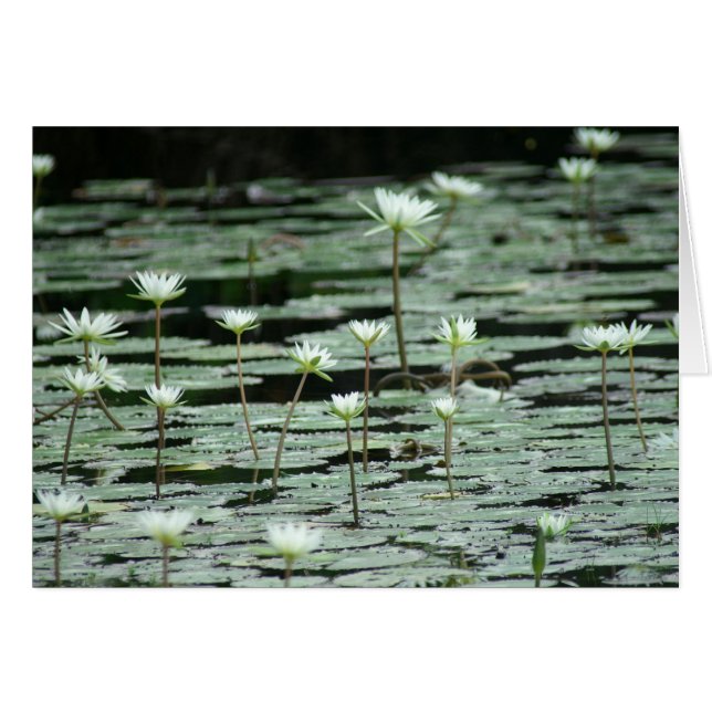 Gelassenheit (Vorderseite (Horizontal))