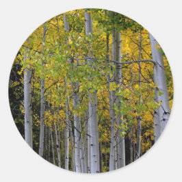 Gelassenheit in Gold und Green Aspen Runder Aufkleber