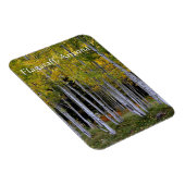 Gelassenheit in Gold und Green Aspen's Vorreiterte Magnet (Rechte Seite)