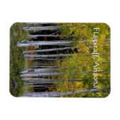 Gelassenheit in Gold und Green Aspen's Vorreiterte Magnet (Horizontal)