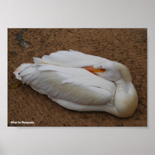 Gelassenheit in Weiß Poster