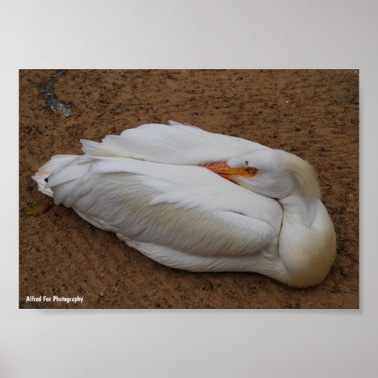 Gelassenheit in Weiß Poster (Vorne)