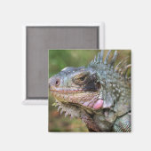 Gelassenheit Magnet (Vorderseite/Rückseite)