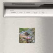 Gelassenheit Magnet (In Situ (Geschirrspüler))
