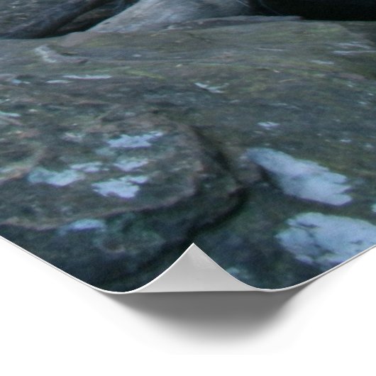 Gelassenheit Poster (Ecke)