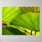 Gelassenheit Poster (Vorne)