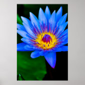 Gelassenheit - Poster (Vorne)