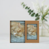 Gelassenheit Postkarte (Stehend Vorderseite)