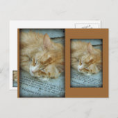 Gelassenheit Postkarte (Vorne/Hinten)