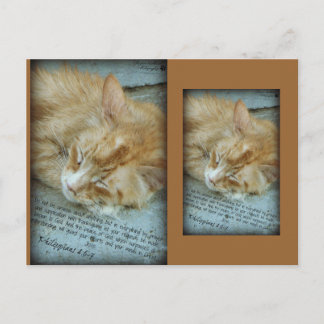 Gelassenheit Postkarte