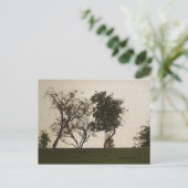 Gelassenheit Postkarte (Stehend Vorderseite)