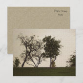 Gelassenheit Postkarte (Vorne/Hinten)