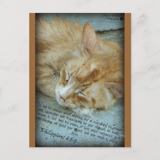 Gelassenheit Postkarte (Vorderseite)