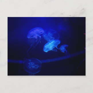 Gelassenheit Postkarte