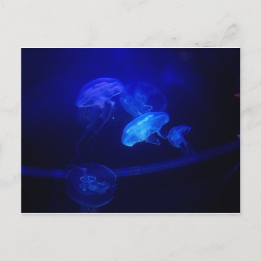 Gelassenheit Postkarte (Vorderseite)