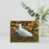 Gelassenheit Postkarte (Stehend Vorderseite)