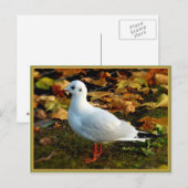 Gelassenheit Postkarte (Vorne/Hinten)