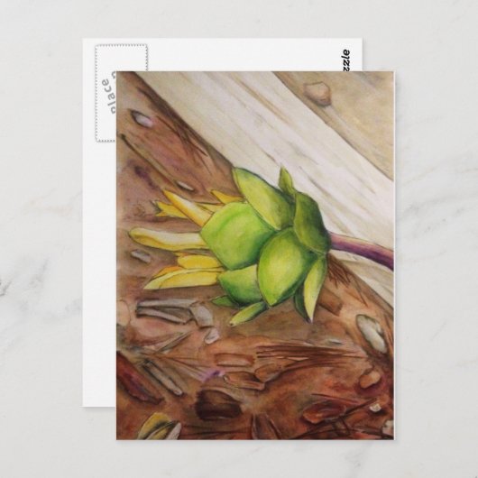 "Gelb 1" Postkarte (Vorne/Hinten)