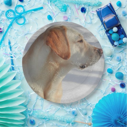 Gelb 4 Labrador Pappteller (Party)