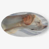 Gelb 4 Labrador Pappteller (Schrägansicht)