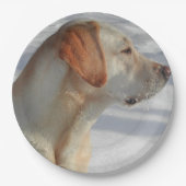 Gelb 4 Labrador Pappteller (Vorderseite)