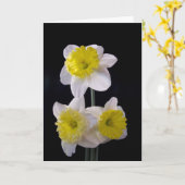 Gelb am Tag der weißen Daffodil Mutter Karte (Gelbe Blume)