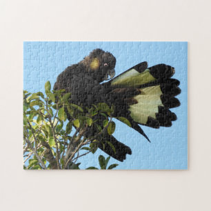 Gelb-angebundener schwarzer Cockatoo Puzzle