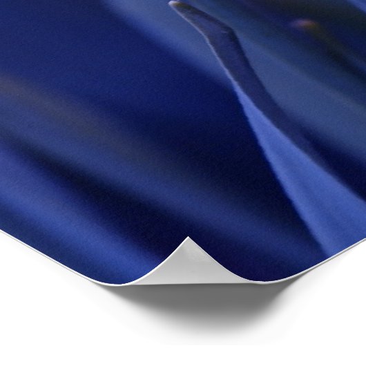 Gelb auf blau poster (Ecke)