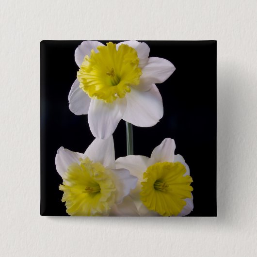 Gelb auf weißem Daffodil Button (Vorderseite)