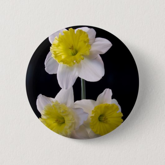 Gelb auf weißem Daffodil Button (Vorderseite)