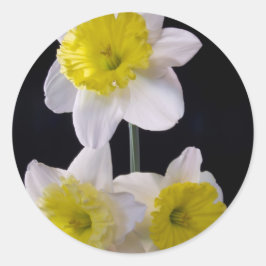 Gelb auf weißem Daffodil Runder Aufkleber