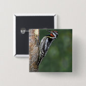 Gelb-aufgeblähter Sapsucker (Mann) Button (Vorne & Hinten)