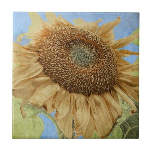 Gelb blauer Garten Land Blume Fliese (Vorderseite)