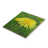 Gelb, Butterbecher, Pflanze, Kronleuchter, Wiese, Fliese (Seite)