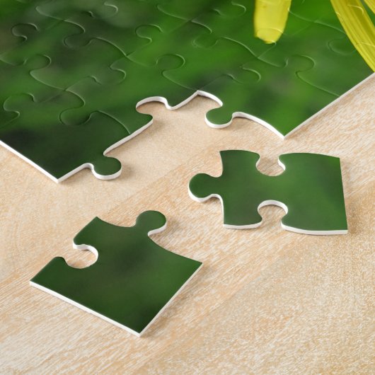 Gelb, Butterbecher, Pflanze, Kronleuchter, Wiese, Puzzle (Seite)