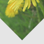 Gelb, Butterbecher, Pflanze, Kronleuchter, Wiese, Seidenpapier (Ausschnitt)