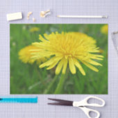 Gelb, Butterbecher, Pflanze, Kronleuchter, Wiese, Seidenpapier (Handwerk)