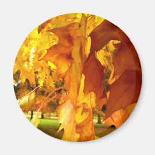 gelb flammend magnet