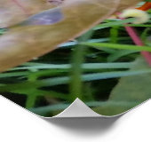 gelb gefärbtes Blatt Poster (Ecke)