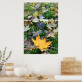 gelb gefärbtes Blatt Poster (Küche)