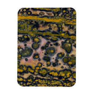 Gelb gefleckter Ozean-Jasper Magnet